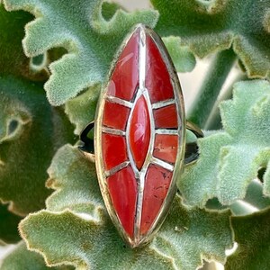 May include: A silver ring with a large, elongated oval centerpiece. The centerpiece is inlaid with vibrant red coral pieces, arranged in a geometric pattern. The ring is set against a backdrop of green, textured foliage.