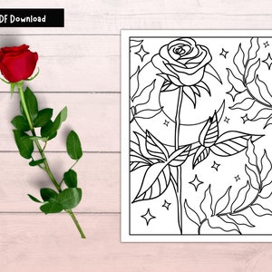 Moon Rose Printable Coloring Page, Floral Coloring, Rose Coloring Page, Floral Coloring Sheet, Moon Coloring Page, Adult Coloring Page Pdf