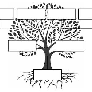 Könnte beinhalten: Schwarzweißes Stammbaum-Template mit leeren Feldern für Namen. Der Baum hat einen dicken Stamm und Äste mit Blättern. Die Wurzeln sind am unteren Ende des Baumes sichtbar.