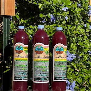 Organic probiotic fertilizer / soil conditioner Purple Non-Sulfer Bacteria (PNSB) image 2