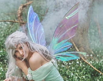Può includere: Un abito verde chiaro con spalle scoperte, gonna fluida e un paio di grandi ali iridescenti e traslucide con un motivo a venature strutturali. Il capo presenta delicati dettagli floreali bianchi lungo lo scollo e le spalline.