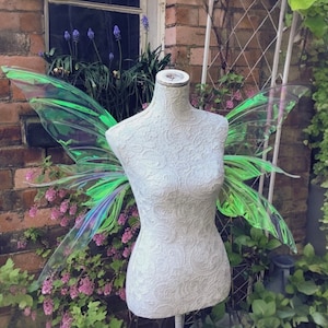 Butterfly princess Adult iridescent fairy wings
