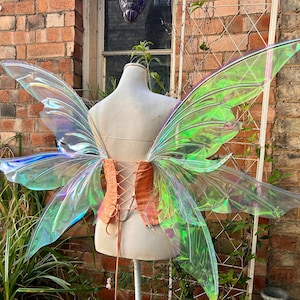 Adult iridescent fairy wings Zena style