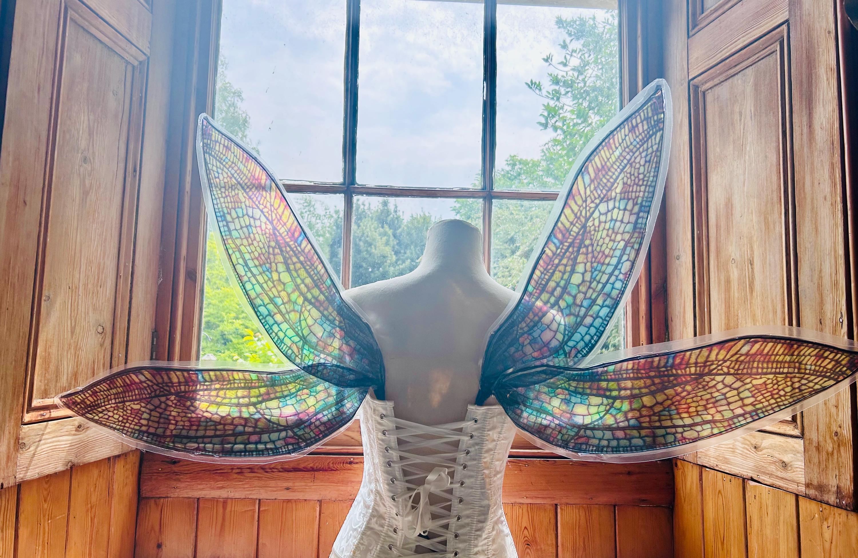 Carnival row dragonfly fairy wings