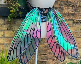 Dragonfly fairy wings