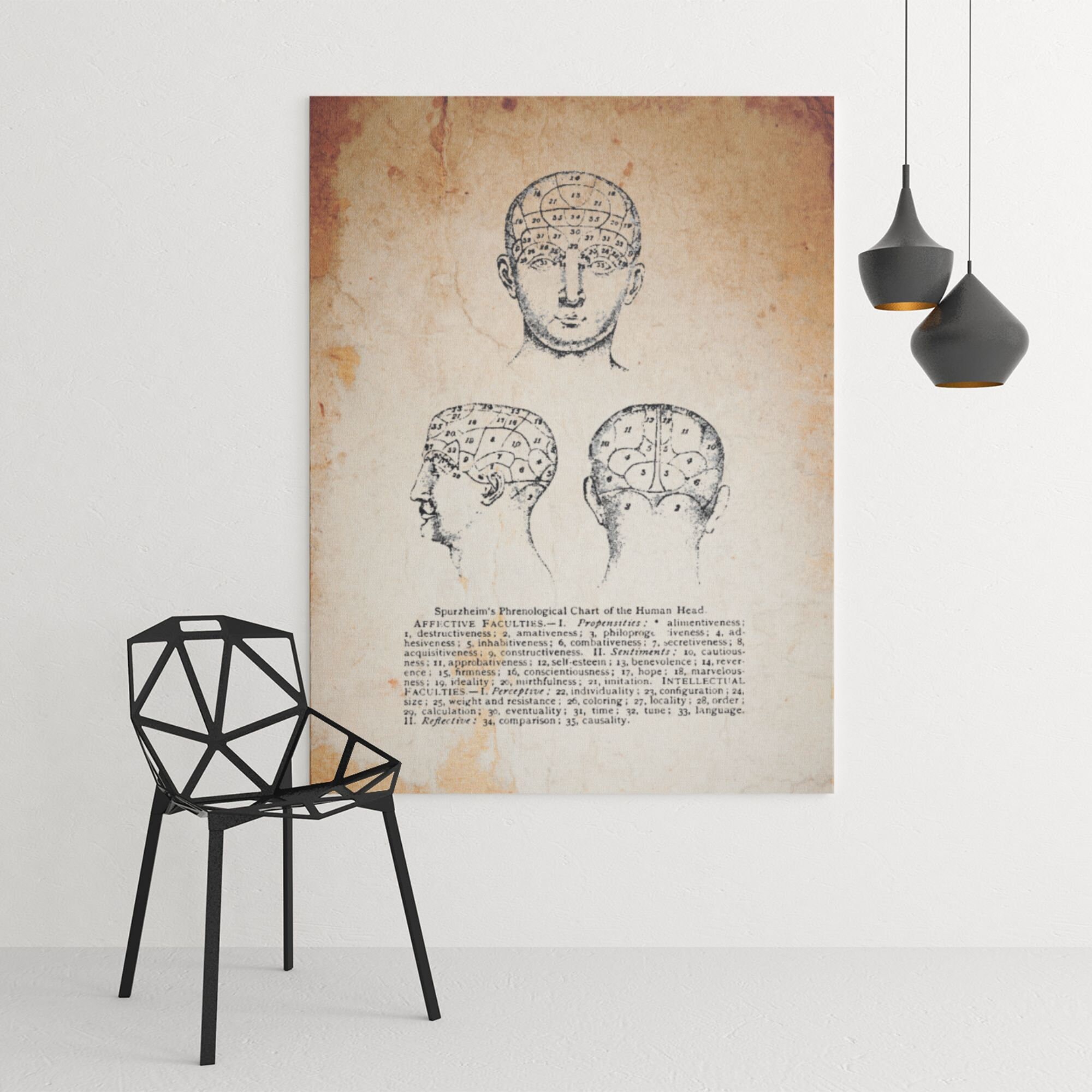 Spurzheim's Phrenological Chart of the Human Head Anatomy Wall Art ...
