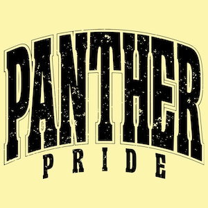Panther Pride SVG PNG, Panther Mascot Svg, Varsity Football Svg, Game Day Png, High School Sport, Panther Mom Cut File, Panthers Design