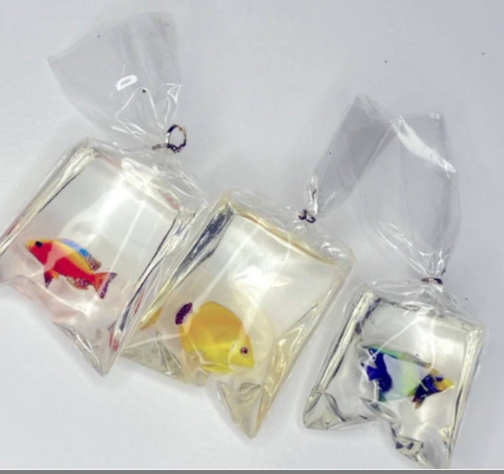 Glass Fish in a Bag 