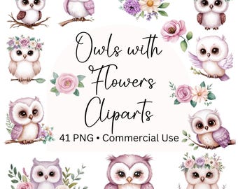 Owl with Flower Crown Watercolor Clipart, 41 Cliparts, Baby Owl Clipart