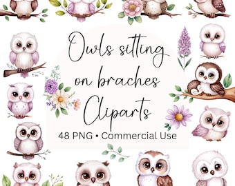 Owl sitting on a branch Watercolor Clipart, 48 Cliparts, Baby Owl on a branches Clipart