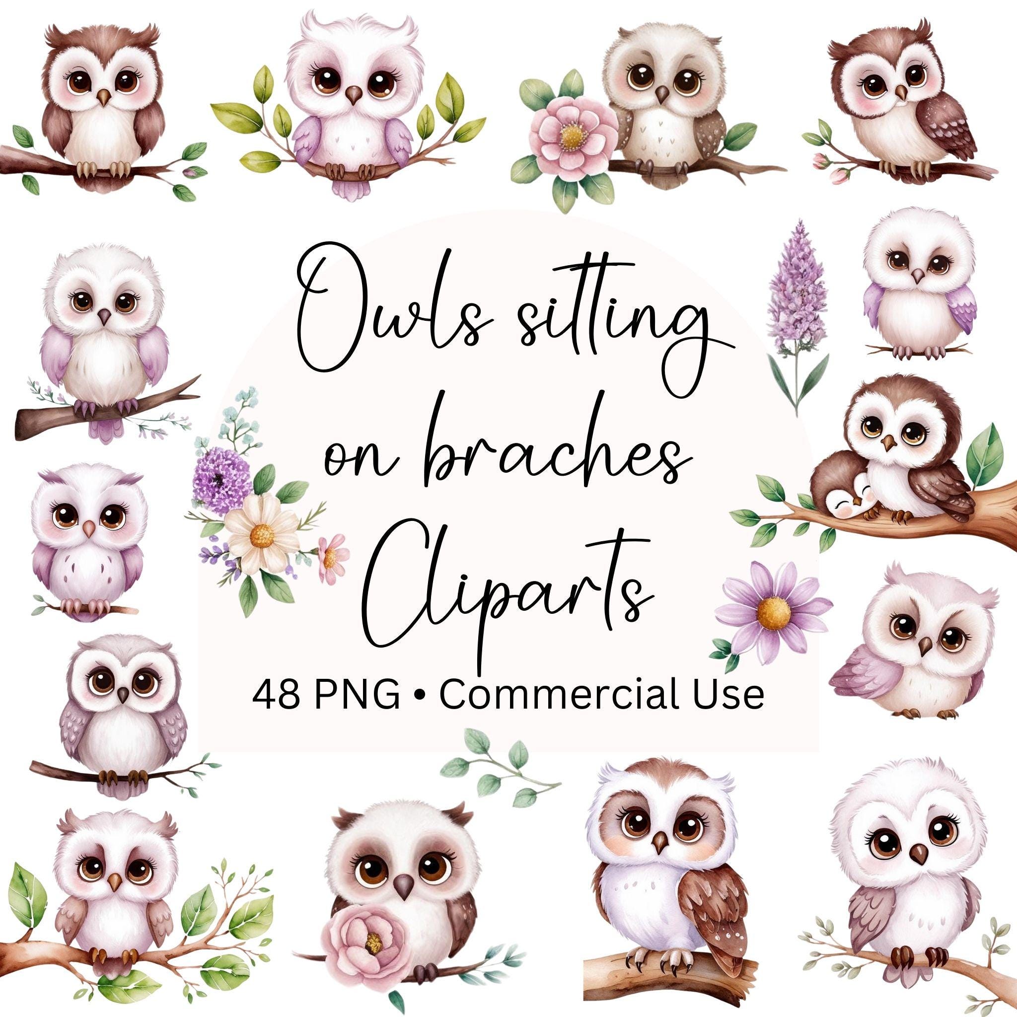 Owl sitting on a branch Watercolor Clipart, 48 Cliparts, Baby Owl on a branches Clipart