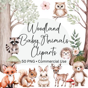 Wald Baby Tiere Aquarell Clipart, 50 Cliparts, Baby Tiere Clipart