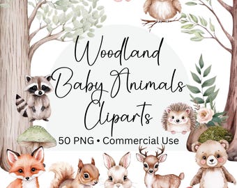 Bosbabydieren aquarel clipart, 50 Cliparts, babydieren clipart