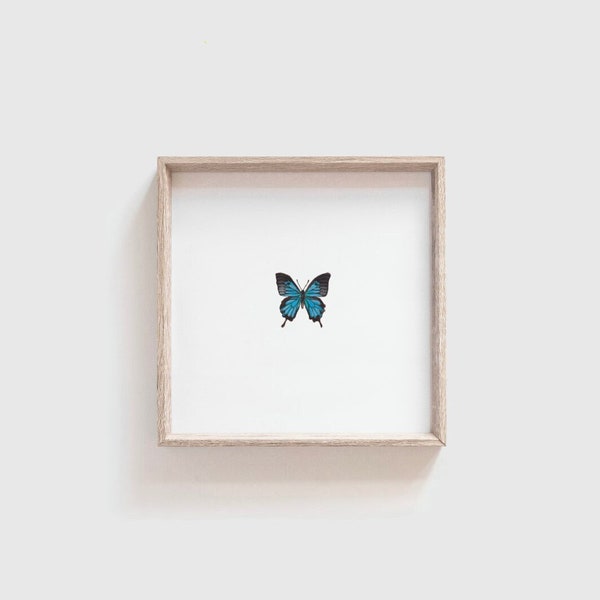 Miniature Butterfly Painting PRINT // Tiny Art