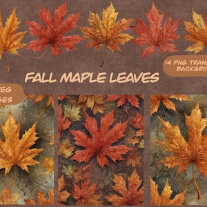 Bellissime foglie autunnali, foglia d'acero, clipart autunnale, diario spazzatura, carta digitale, set di diario autunnale, creazione di biglietti, effimeri, scrapbooking, collage