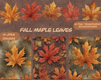 May include: A digital illustration of 14 fall maple leaves in various shades of red, orange, and yellow. The leaves are arranged in a pattern on a brown background. The text "FALL MAPLE LEAVES" is written in a bold, white font at the top of the image. The text "14 JPEG IMAGES" is written in a white font in a circle at the bottom left of the image. The text "14 PNG TRANSPARENT BACKGROUNDS" is written in a white font in a circle at the bottom right of the image.