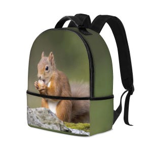 May include: A green backpack with a red squirrel eating a nut. The squirrel is sitting on a rock with green moss.
