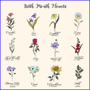 May include: A chart showing the birth month flowers for each month of the year. The flowers are illustrated in a simple line drawing style. January: Carnation, February: Iris, March: Daffodil, April: Daisy, May: Lily of the Valley, June: Rose, July: Water Lily, August: Gladiolus, September: Morning Glory, October: Cosmos, November: Chrysanthemum, December: Holly.