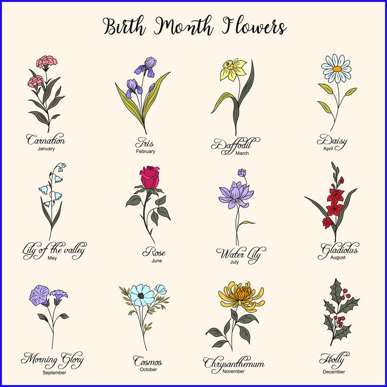 May include: A chart showing the birth month flowers for each month of the year. The flowers are illustrated in a simple line drawing style. January: Carnation, February: Iris, March: Daffodil, April: Daisy, May: Lily of the Valley, June: Rose, July: Water Lily, August: Gladiolus, September: Morning Glory, October: Cosmos, November: Chrysanthemum, December: Holly.