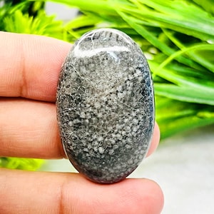 Black Fossil Coral Cabochon Lot, Wholesale Fossil Coral Gemstone Lot, Natural Fossil Coral Crystal Handmade Stone Making For Jewelry.