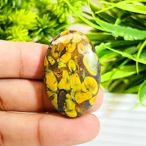 Natural Fruit Jasper Gemstone Oval Shape 66.5 Carat Fruit Jasper Cabochon Handmade Gemstone Making For Jewelry.