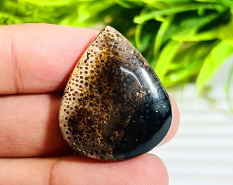AAA+ Quality Natural Palm Root Silk Agate Gemstone Palm Root Crystal Gift Her Handmade Stone Palm Agate Making Pendant & Making For Jewelry.