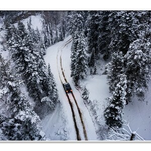 Strada forestale innevata