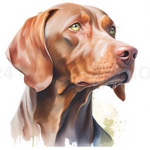 Charmant clipart aquarelle Vizsla - 12 fichiers PNG de haute qualité pour la fabrication de cartes, techniques mixtes, créations sur papier numérique et peinture - téléchargement immédiat