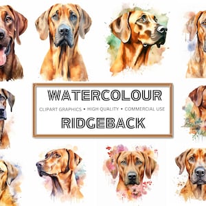 Rhodesian Ridgeback Clipart - 16 High Quality PNGs - Digital Design, Mugs, Apparel, Digital Planner, Digital Paper Craft - Instant Download
