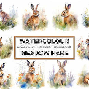 Digital Meadow Hare Clipart - 16 High-Quality PNGs - Planner, Journaling, Watercolor, Wall Art - Commercial Use - Instant Download