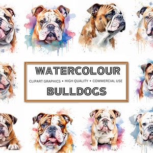 16 High Quality Bulldog Clipart PNGs for Digital Download - Perfect for Card Making, Clip Art, and Digital Paper Craft