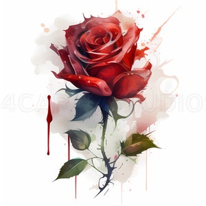 Colección Timeless Red Rose - 16 PNG de alta calidad - Perfecto para hacer tarjetas, manualidades digitales, arte de pared, arte de medios mixtos - Descarga instantánea