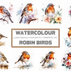 Premium Rotkehlchen Clipart: 24 hochwertige PNGs zum digitalen Download - ideal für Kartenherstellung, Mixed Media, digitales Papierhandwerk kommerzielle Nutzung