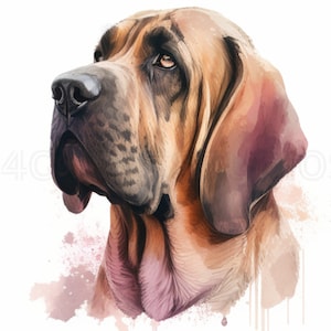 Clipart Bloodhound Premium: 16 PNGs de alta qualidade para artesanato digital e muito mais - Download digital instantâneo - Designs digitais artesanais