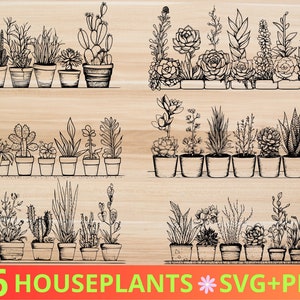 Plantes d'intérieur en pots SVG et PNG Bundle - Art végétal noir et blanc - Botanical SVG Bundle - Succulent svg - Cactus svg - Flower svg - Floral