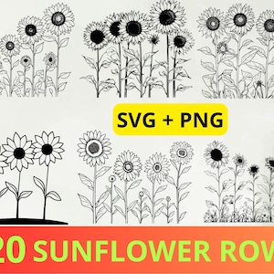 Lot de 20 rangées de tournesols SVG et PNG - Svg noir et blanc tournesol - tournesol SVG Cricut - Svg Nature - Floral - fleurs sauvages Svg Png