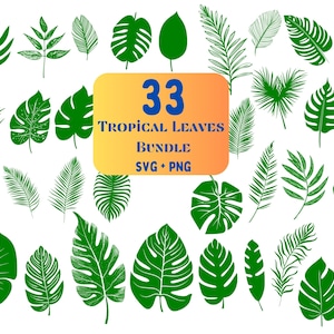33 foglie tropicali SVG PNG Bundle - Greenery Leaf Svg - clipart verde - Pacchetto SVG botanico - Monstera Leaf Svg - Foglia svg per Cricut