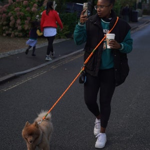 The Woof Hut Hands Free Dog Lead image 9