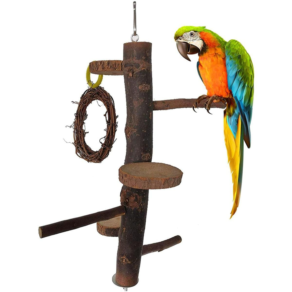 Mini NU Perch Parakeet Training Scale - Small Parrots & Parakeets