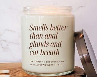 Funny Vet Tech Gift Ideas Vet School Graduation Vet Assistant Appreciation Gift For Women Vet Technician Week Candle Veterinary Receptionist