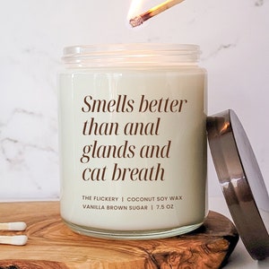 Funny Vet Tech Gift Ideas Vet School Graduation Vet Assistant Appreciation Gift For Women Vet Technician Week Candle Veterinary Receptionist
