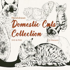 May include: A digital collection of hand-drawn cat illustrations featuring various breeds in black ink on a cream background. The text reads Hand-drawn Domestic Cats Collection, SVG & PNG, and 22 Elements. The cats are shown in different poses.