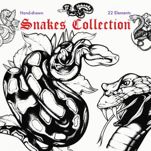 Op de afbeelding: Een digitale grafische set getiteld Snakes Collection met 22 handgetekende zwart-wit illustraties van slangen, sommige verweven met florale elementen, die verschillende opgerolde houdingen en gedetailleerde schubben tonen op een witte achtergrond.