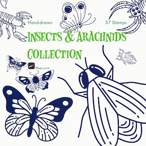 Pode incluir: Uma coleção digital de 37 carimbos de insetos e aracnídeos desenhados à mão para o Procreate. O gráfico apresenta ilustrações de linhas azul-escuras de várias borboletas, uma mosca, um besouro, um escorpião e uma aranha, com o texto "INSECTS & ARACHNIDS COLLECTION" em verde.