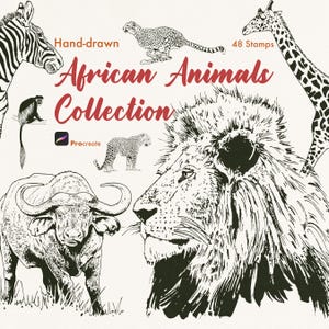 Op de afbeelding: Een digitale collectie van 48 handgetekende Afrikaanse dierenstempels voor Procreate, met zwart-wit illustraties van een zebra, jachtluipaard, giraf, aap, luipaard, buffel en een leeuwenkop met de tekst African Animals Collection.