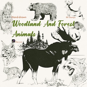 May include: A digital collection of 88 hand-drawn woodland and forest animal stamps for Procreate. The graphic features black ink illustrations of a squirrel, bear, deer, beaver, lynx, fox, moose, and mountain lion against a light background.