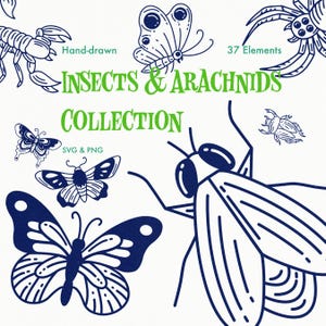 Gotische insecten- en kever-SVG-clipart, mystieke vlinder- en mot-PNG, insectenafbeeldingen in Dark Academia-stijl, spin-, schorpioen- en kever-tatoeage-flash