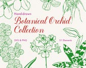 Flower SVG Bundle, Botanical Floral Clipart PNG, Vintage Hand Drawn Orchid Illustrations, Commercial Use, 51 Elements