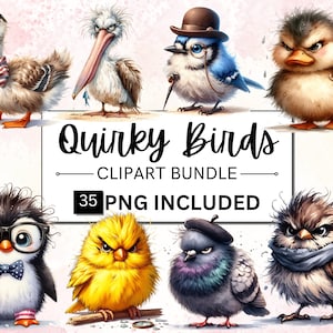 35 imágenes prediseñadas de pájaros gruñones, ilustraciones de pájaros extravagantes y lindos, pájaros caprichosos, imágenes prediseñadas de pájaros locos, imágenes prediseñadas de pájaros lindos, imágenes prediseñadas de caras de pájaros de dibujos animados