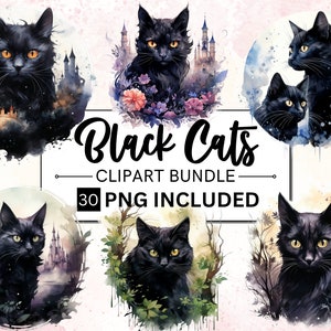 30 PNG aquarelle fantaisie chats noirs Clipart, clipart chat noir, clipart chat noir céleste, clipart magique, sorcellerie Bundle, païen png